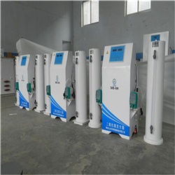 生产供应标准型二氧化氯发生器部分地区免物流费-潍坊山水环保设备机械有限公司